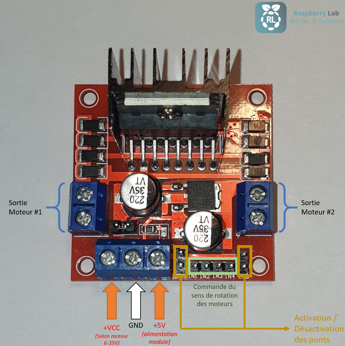 Module L298N avec entrées/sorties