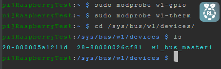 Multiple DS18B20 Raspberry capture