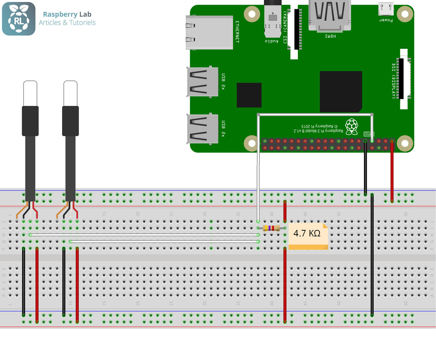 Wiring diagram of two DS18B20 on Raspberry Pi 3