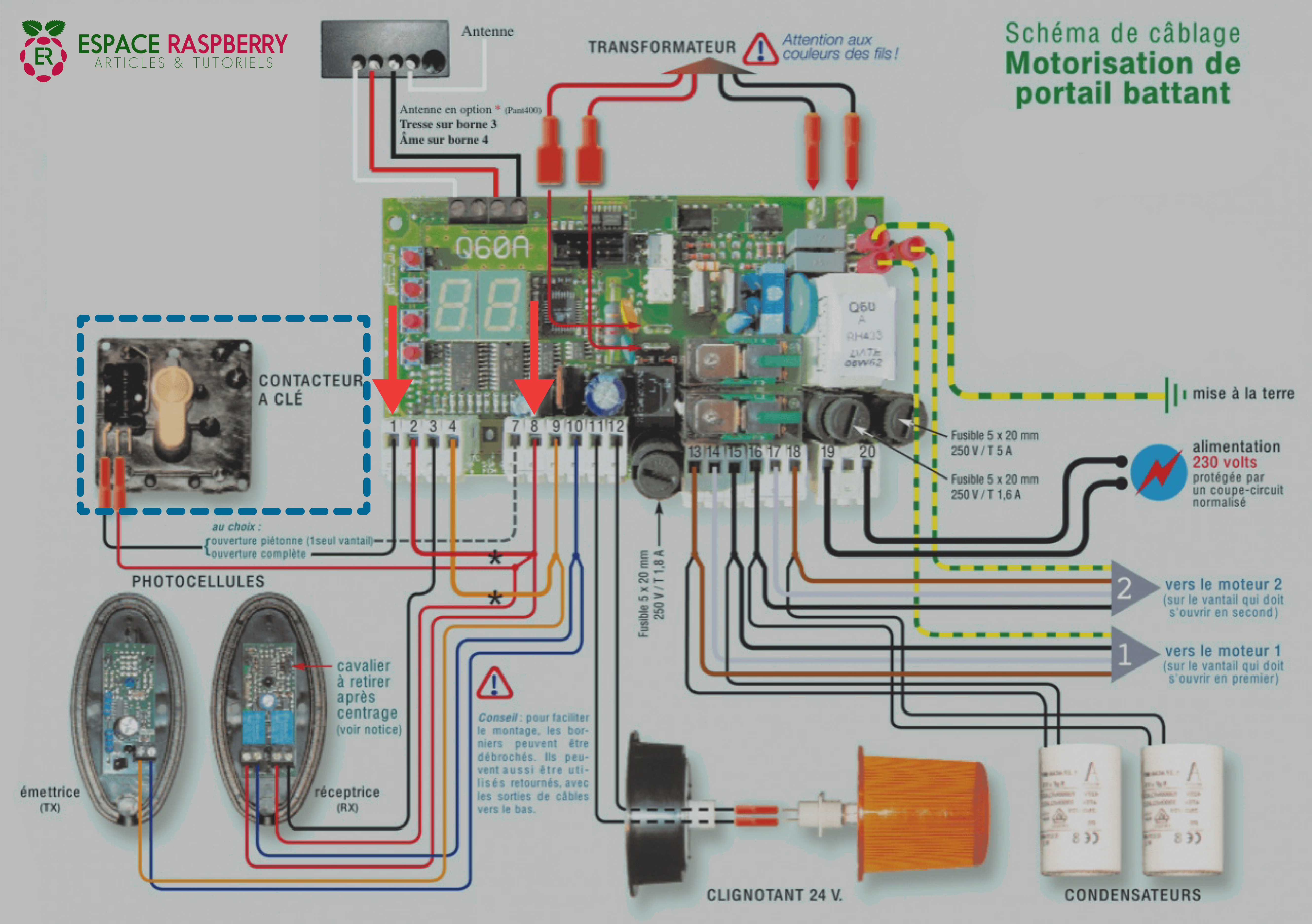 Sorties interrupteur à clé portail raspberry