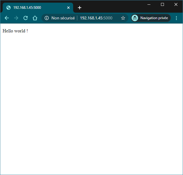 Capture d'écran premier script Flask