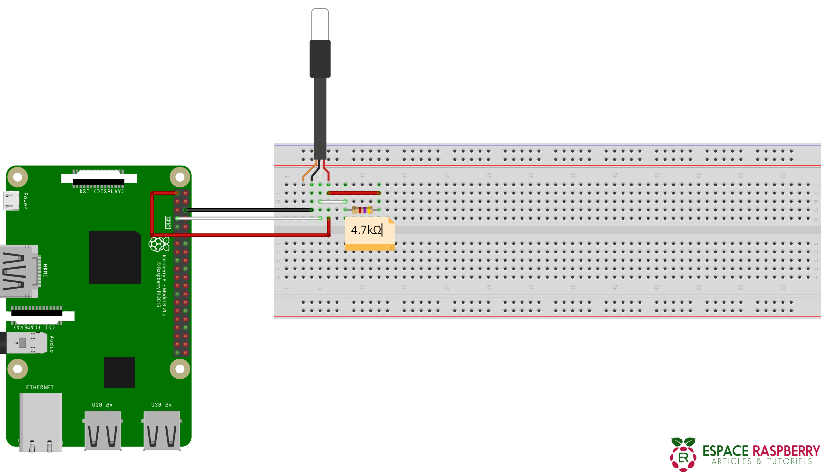 Shéma de branchement d'une DS18B20 sur Raspberry Pi 3