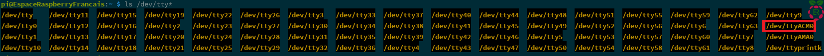 Capture d'écran ls /dev/tty* sans Arduino Branché