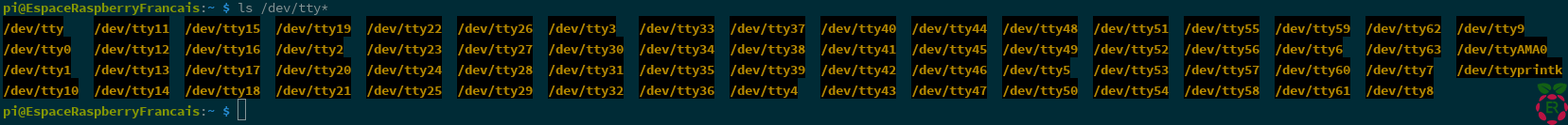 Capture d'écran ls /dev/tty* sans Arduino Branché
